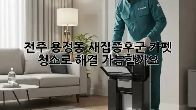 전주 용정동 새집증후군, 카펫 청소로 해결 가능할까요?